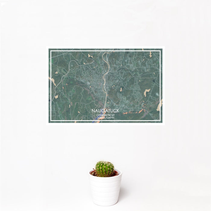 12x18 Naugatuck Connecticut Map Print Landscape Orientation in Afternoon Style With Small Cactus Plant in White Planter