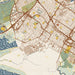 Newark California Map Print in Woodblock Style Zoomed In Close Up Showing Details