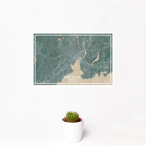 12x18 New Haven Connecticut Map Print Landscape Orientation in Afternoon Style With Small Cactus Plant in White Planter