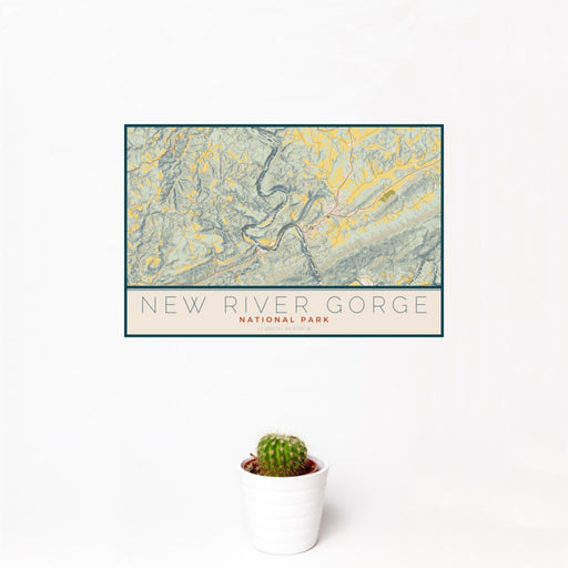 12x18 New River Gorge National Park Map Print Landscape Orientation in Woodblock Style With Small Cactus Plant in White Planter