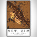 New Ulm Minnesota Map Print Portrait Orientation in Ember Style With Shaded Background