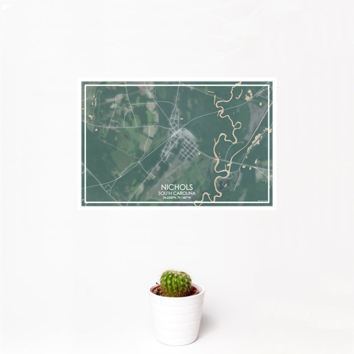 12x18 Nichols South Carolina Map Print Landscape Orientation in Afternoon Style With Small Cactus Plant in White Planter