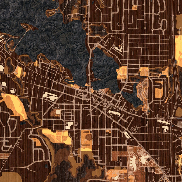 Oconomowoc Wisconsin Map Print in Ember Style Zoomed In Close Up Showing Details
