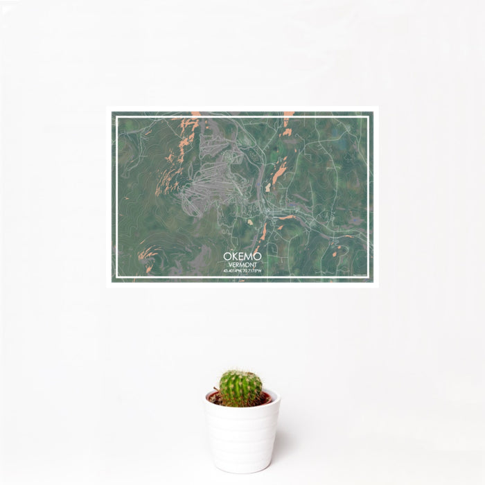 12x18 Okemo Vermont Map Print Landscape Orientation in Afternoon Style With Small Cactus Plant in White Planter