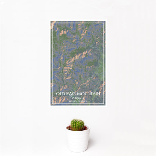 12x18 Old Rag Mountain Virginia Map Print Portrait Orientation in Afternoon Style With Small Cactus Plant in White Planter