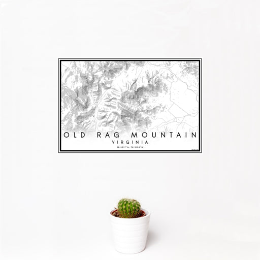 12x18 Old Rag Mountain Virginia Map Print Landscape Orientation in Classic Style With Small Cactus Plant in White Planter