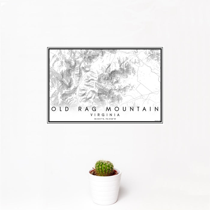 12x18 Old Rag Mountain Virginia Map Print Landscape Orientation in Classic Style With Small Cactus Plant in White Planter