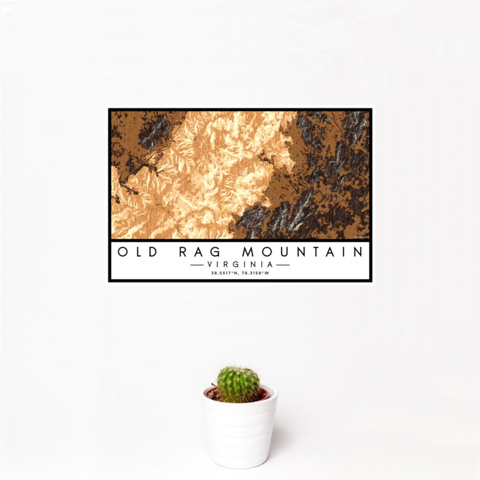 12x18 Old Rag Mountain Virginia Map Print Landscape Orientation in Ember Style With Small Cactus Plant in White Planter