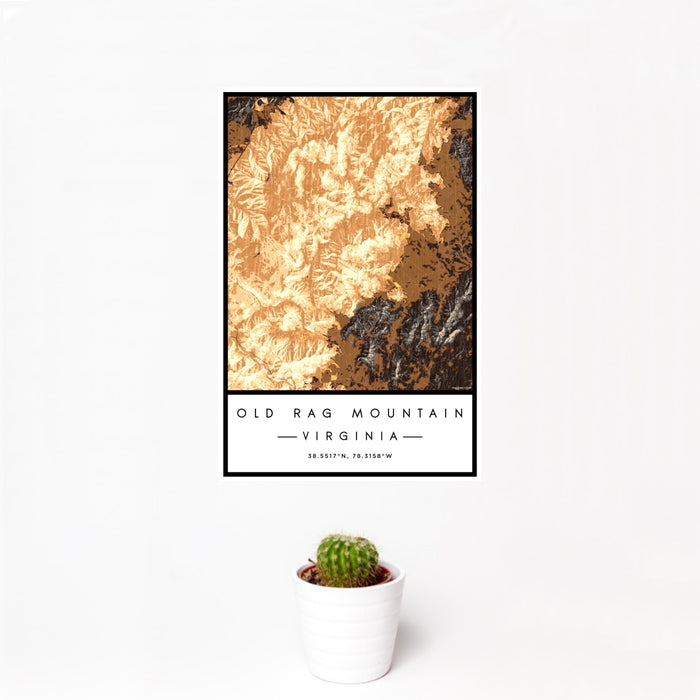 12x18 Old Rag Mountain Virginia Map Print Portrait Orientation in Ember Style With Small Cactus Plant in White Planter
