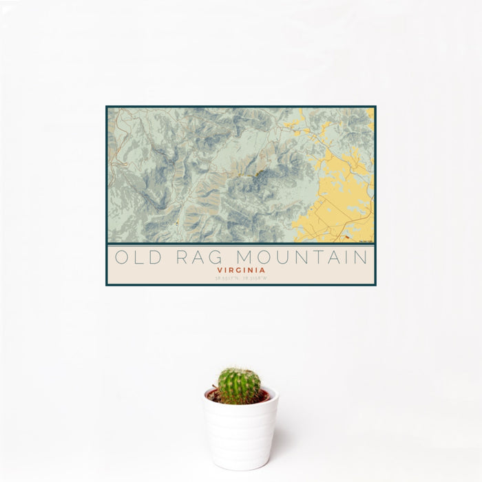 12x18 Old Rag Mountain Virginia Map Print Landscape Orientation in Woodblock Style With Small Cactus Plant in White Planter