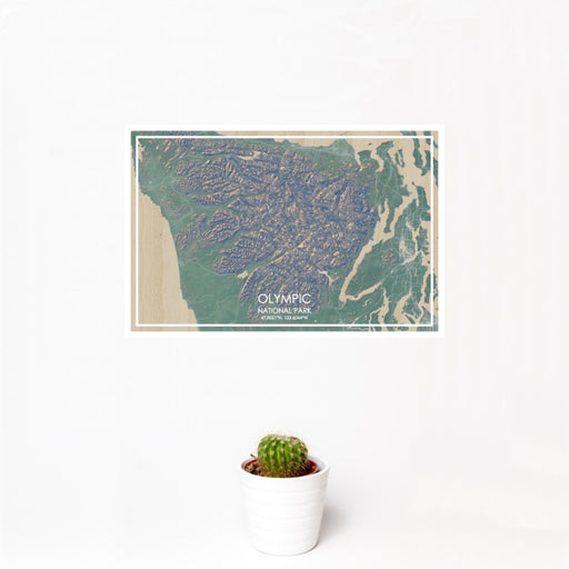 12x18 Olympic National Park Map Print Landscape Orientation in Afternoon Style With Small Cactus Plant in White Planter