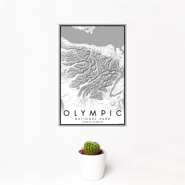 12x18 Olympic National Park Map Print Portrait Orientation in Classic Style With Small Cactus Plant in White Planter