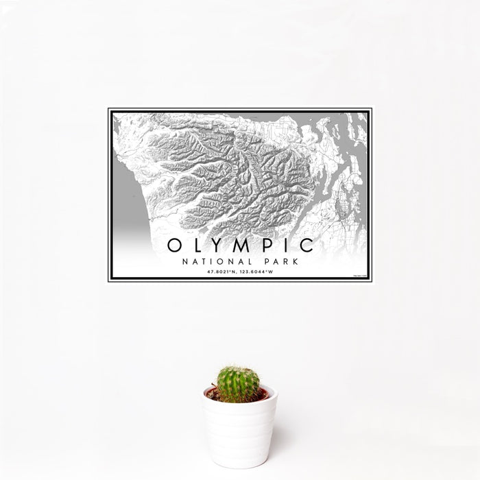 12x18 Olympic National Park Map Print Landscape Orientation in Classic Style With Small Cactus Plant in White Planter