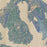 Orcas Island Washington Map Print in Afternoon Style Zoomed In Close Up Showing Details