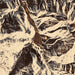 Ouray Colorado Map Print in Ember Style Zoomed In Close Up Showing Details