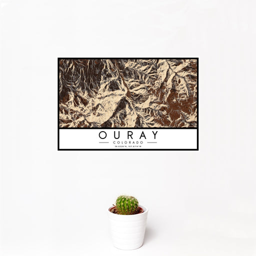 12x18 Ouray Colorado Map Print Landscape Orientation in Ember Style With Small Cactus Plant in White Planter