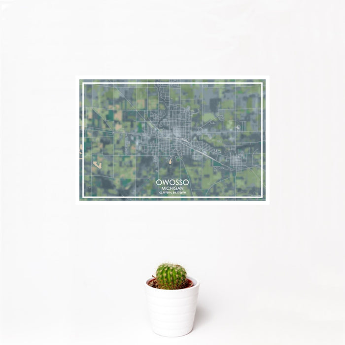 12x18 Owosso Michigan Map Print Landscape Orientation in Afternoon Style With Small Cactus Plant in White Planter
