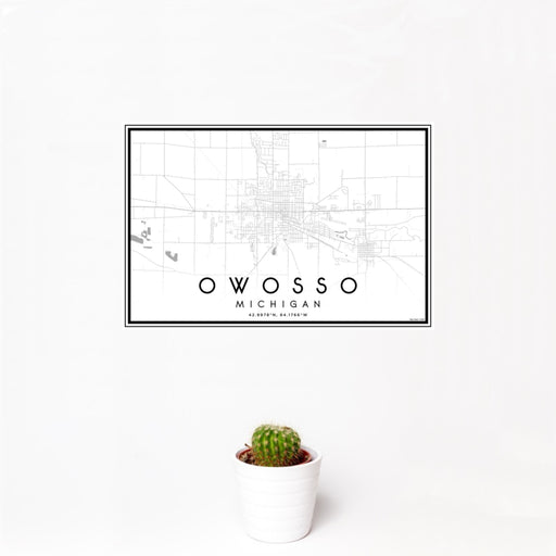12x18 Owosso Michigan Map Print Landscape Orientation in Classic Style With Small Cactus Plant in White Planter