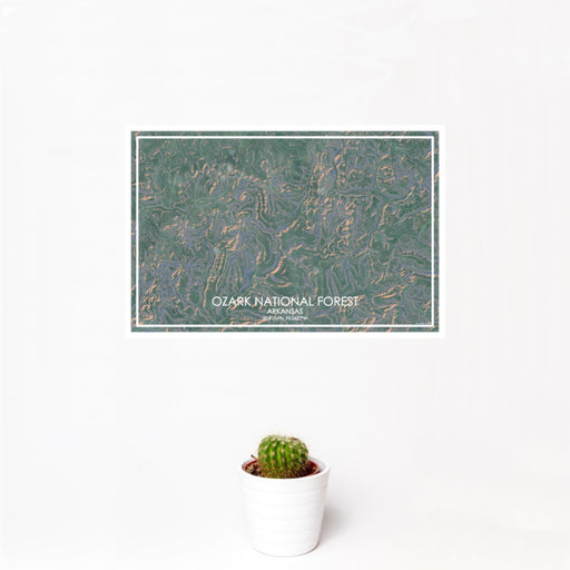 12x18 Ozark National Forest Arkansas Map Print Landscape Orientation in Afternoon Style With Small Cactus Plant in White Planter