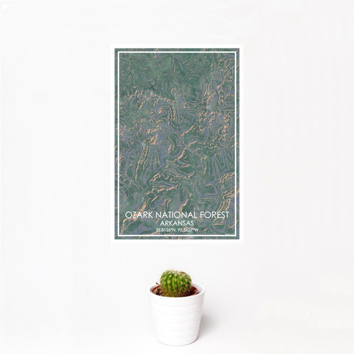 12x18 Ozark National Forest Arkansas Map Print Portrait Orientation in Afternoon Style With Small Cactus Plant in White Planter