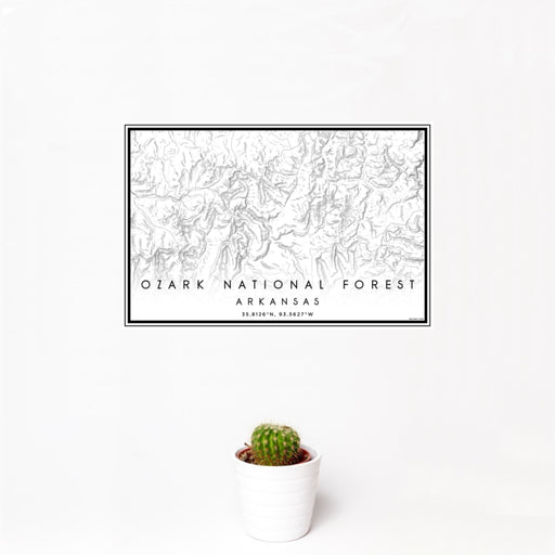 12x18 Ozark National Forest Arkansas Map Print Landscape Orientation in Classic Style With Small Cactus Plant in White Planter