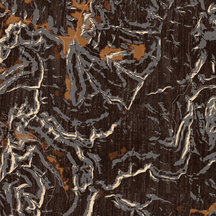 Ozark National Forest Arkansas Map Print in Ember Style Zoomed In Close Up Showing Details