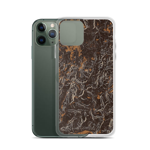 Custom Ozark National Forest Arkansas Map Phone Case in Ember on Table with Laptop and Plant