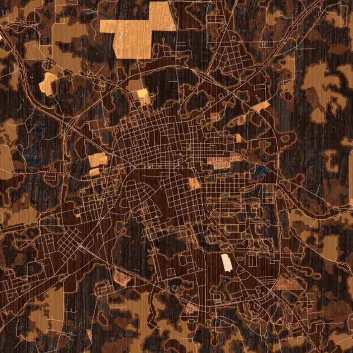 Palestine Texas Map Print in Ember Style Zoomed In Close Up Showing Details