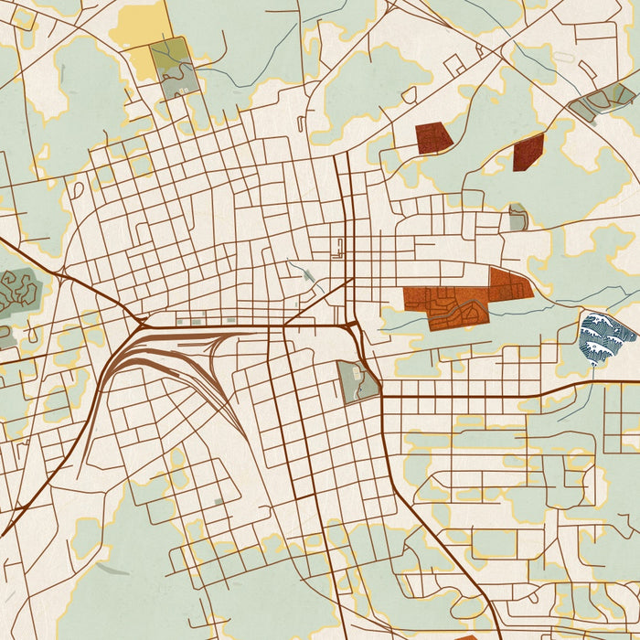 Palestine Texas Map Print in Woodblock Style Zoomed In Close Up Showing Details