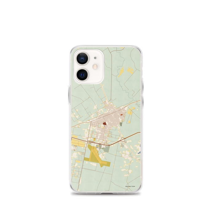 Custom Pecos Texas Map iPhone 12 mini Phone Case in Woodblock