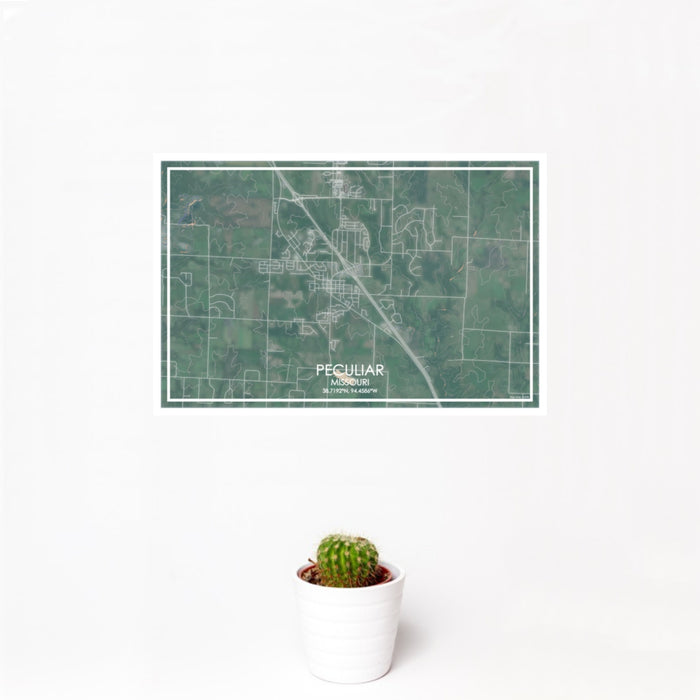 12x18 Peculiar Missouri Map Print Landscape Orientation in Afternoon Style With Small Cactus Plant in White Planter