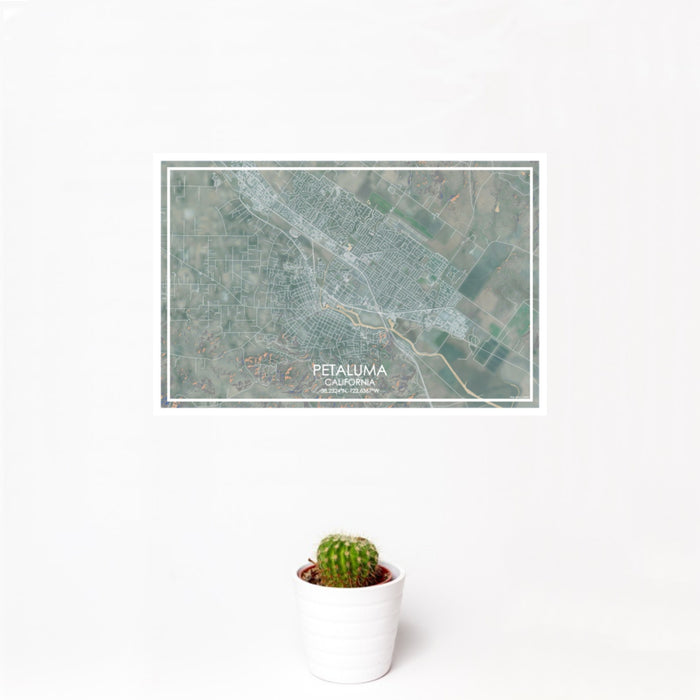 12x18 Petaluma California Map Print Landscape Orientation in Afternoon Style With Small Cactus Plant in White Planter