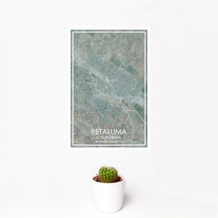 12x18 Petaluma California Map Print Portrait Orientation in Afternoon Style With Small Cactus Plant in White Planter