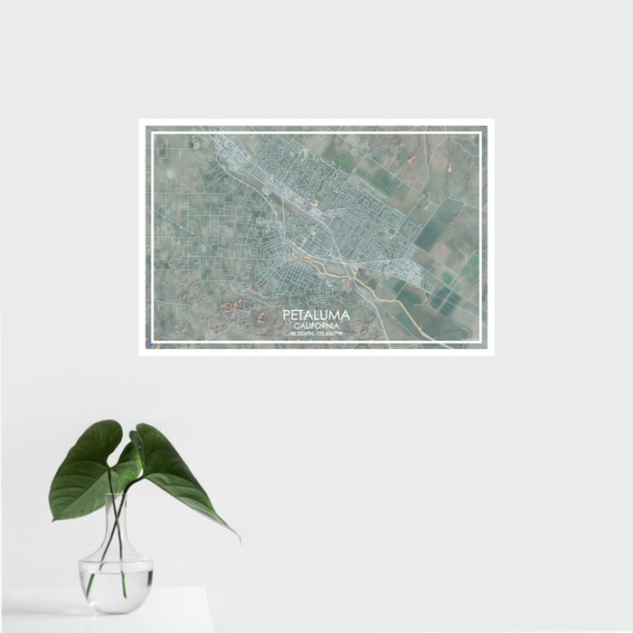 16x24 Petaluma California Map Print Landscape Orientation in Afternoon Style With Tropical Plant Leaves in Water