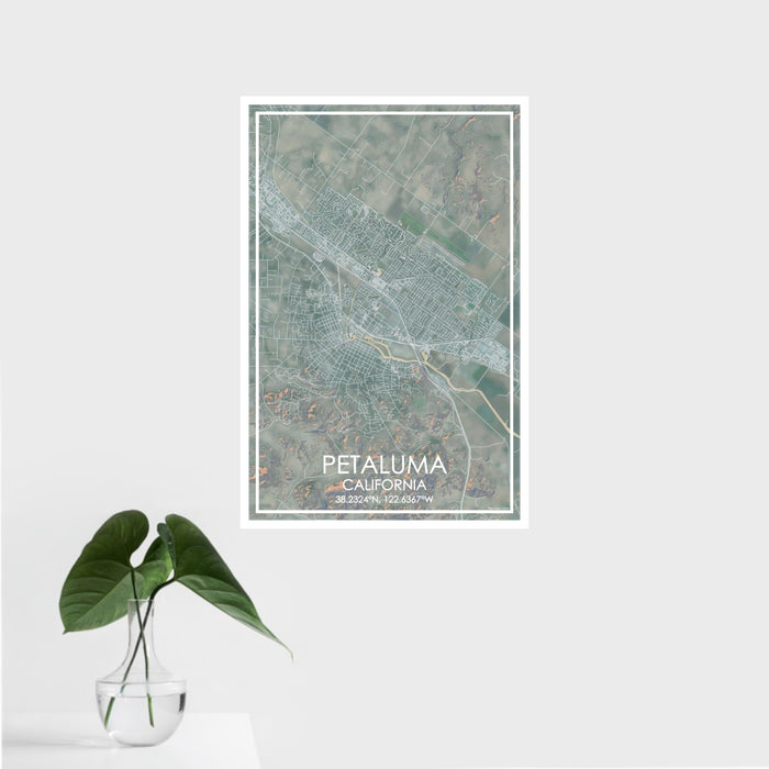 16x24 Petaluma California Map Print Portrait Orientation in Afternoon Style With Tropical Plant Leaves in Water