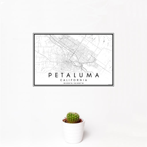12x18 Petaluma California Map Print Landscape Orientation in Classic Style With Small Cactus Plant in White Planter