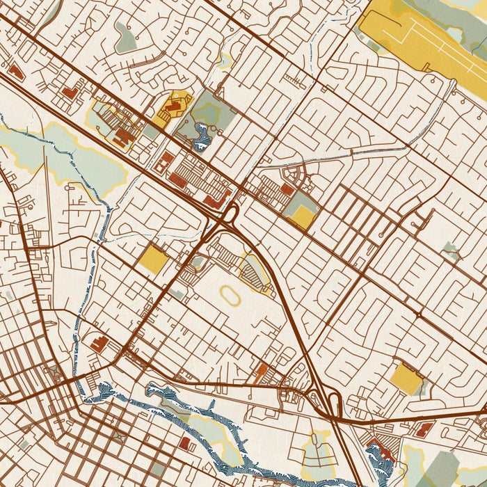 Petaluma California Map Print in Woodblock Style Zoomed In Close Up Showing Details