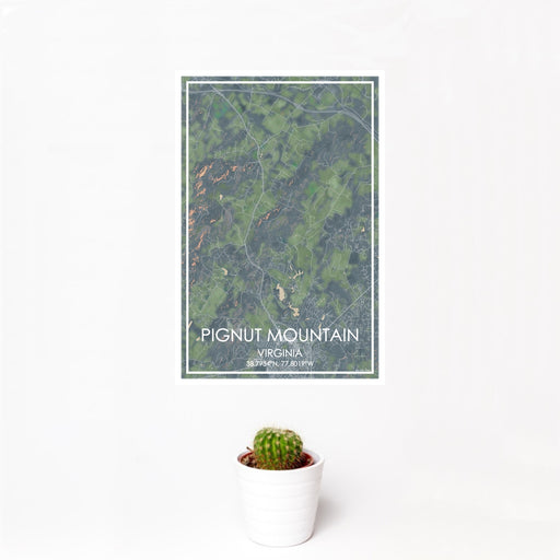 12x18 Pignut Mountain Virginia Map Print Portrait Orientation in Afternoon Style With Small Cactus Plant in White Planter
