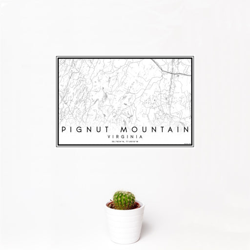 12x18 Pignut Mountain Virginia Map Print Landscape Orientation in Classic Style With Small Cactus Plant in White Planter