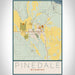 Pinedale Wyoming Map Print Portrait Orientation in Woodblock Style With Shaded Background