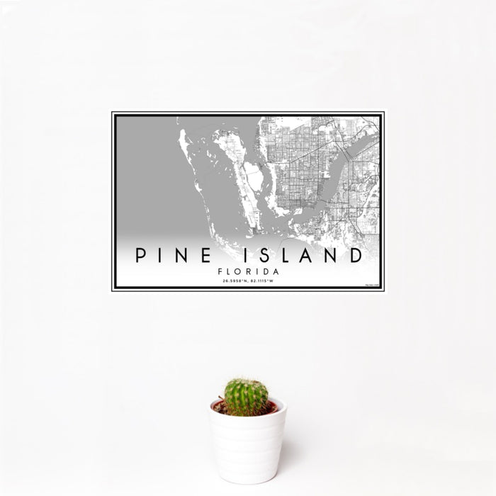 12x18 Pine Island Florida Map Print Landscape Orientation in Classic Style With Small Cactus Plant in White Planter