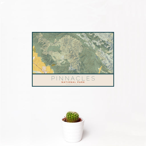 12x18 Pinnacles National Park Map Print Landscape Orientation in Woodblock Style With Small Cactus Plant in White Planter