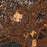 Ponce Puerto Rico Map Print in Ember Style Zoomed In Close Up Showing Details