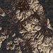 Prince of Wales Island Alaska Map Print in Ember Style Zoomed In Close Up Showing Details