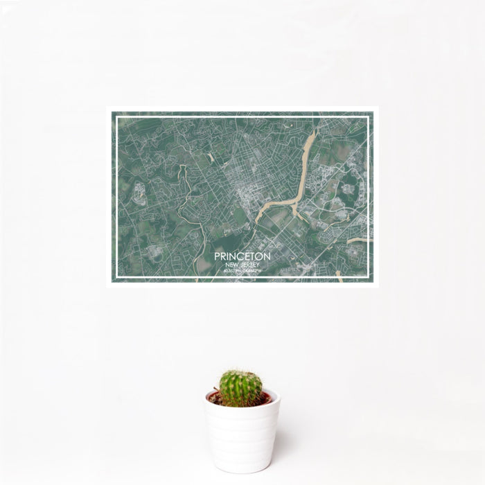 12x18 Princeton New Jersey Map Print Landscape Orientation in Afternoon Style With Small Cactus Plant in White Planter