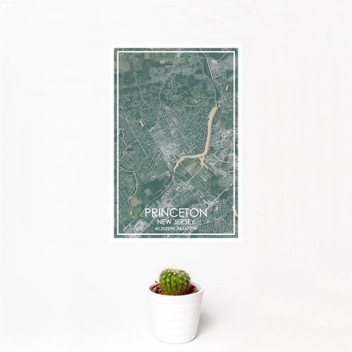 12x18 Princeton New Jersey Map Print Portrait Orientation in Afternoon Style With Small Cactus Plant in White Planter