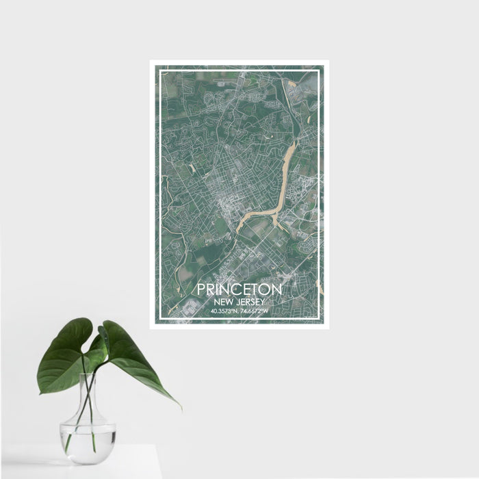 16x24 Princeton New Jersey Map Print Portrait Orientation in Afternoon Style With Tropical Plant Leaves in Water