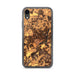 Custom Princeton New Jersey Map Phone Case in Ember