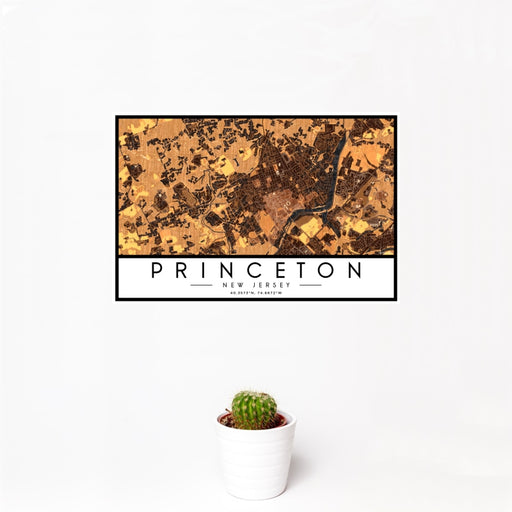 12x18 Princeton New Jersey Map Print Landscape Orientation in Ember Style With Small Cactus Plant in White Planter