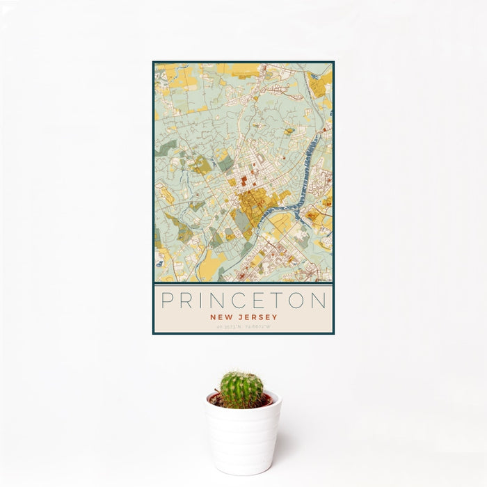 12x18 Princeton New Jersey Map Print Portrait Orientation in Woodblock Style With Small Cactus Plant in White Planter
